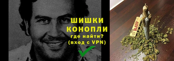 PSILOCYBIN Магадан