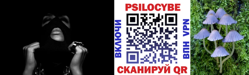купить  сайты  Новоузенск  Галлюциногенные грибы MAGIC MUSHROOMS 